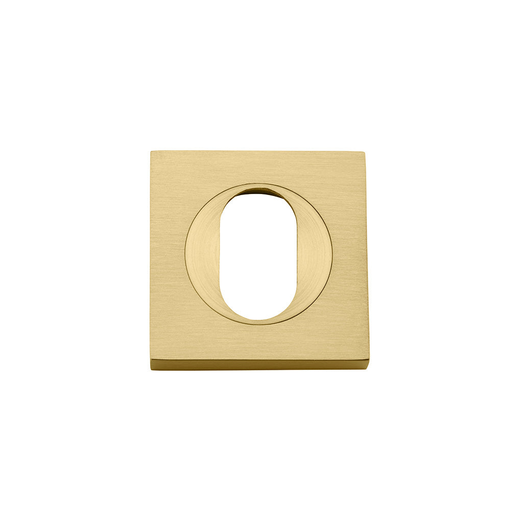 Oval Escutcheon - Square Brushed Gold PVD