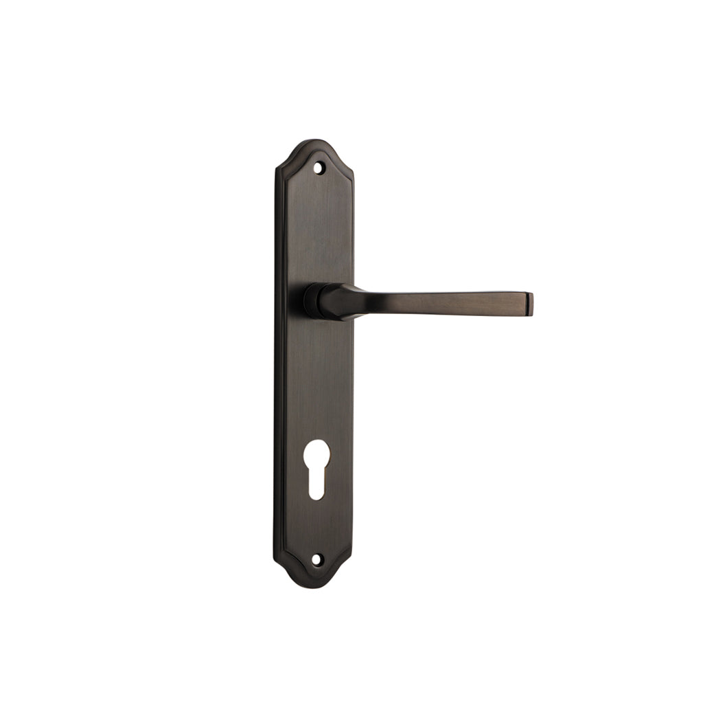 Annecy Lever - Shouldered Backplate Signature Brass / Entrance / Lever Set Only