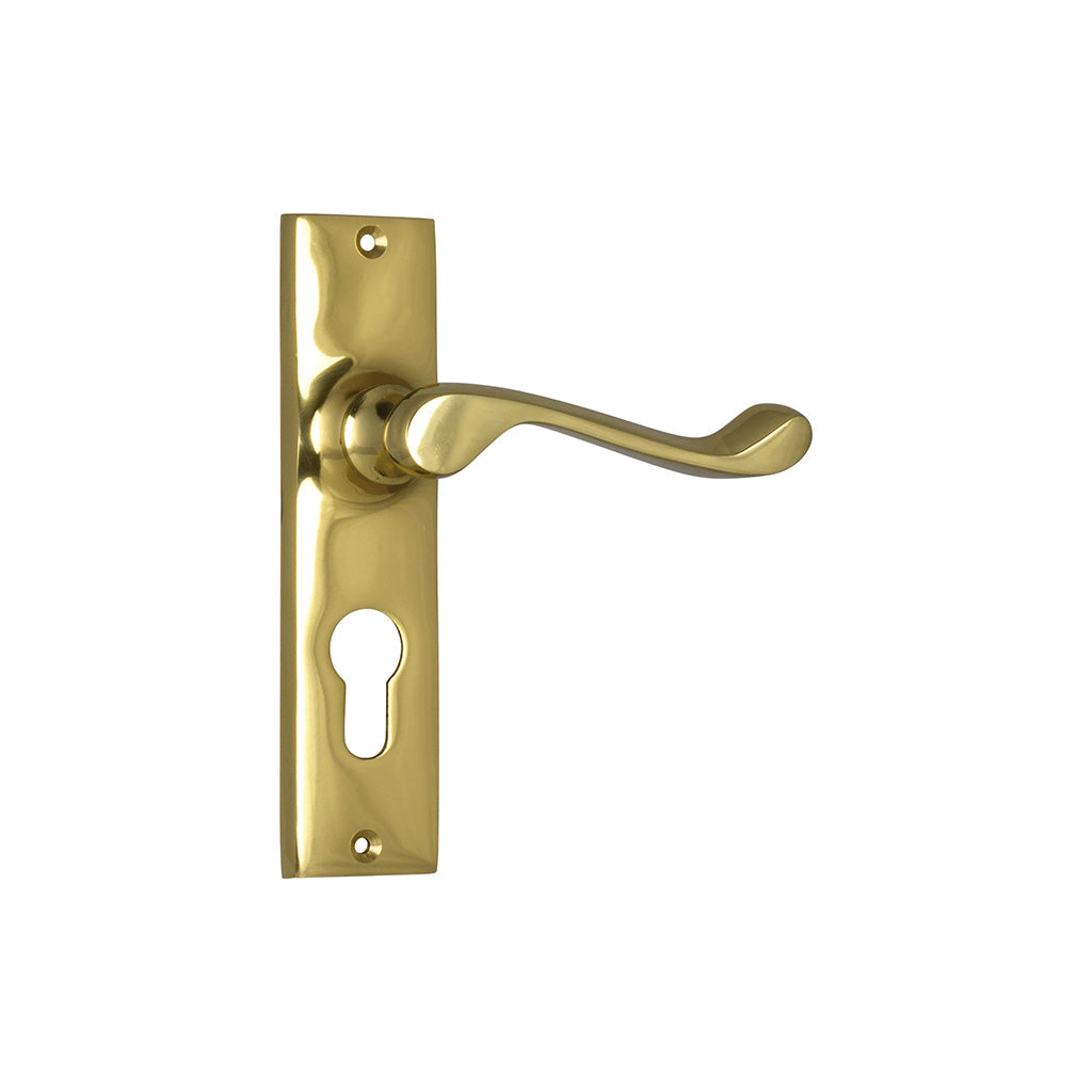 Fremantle Lever - Long Backplate Polished Brass / Entrance / Lever Set Only