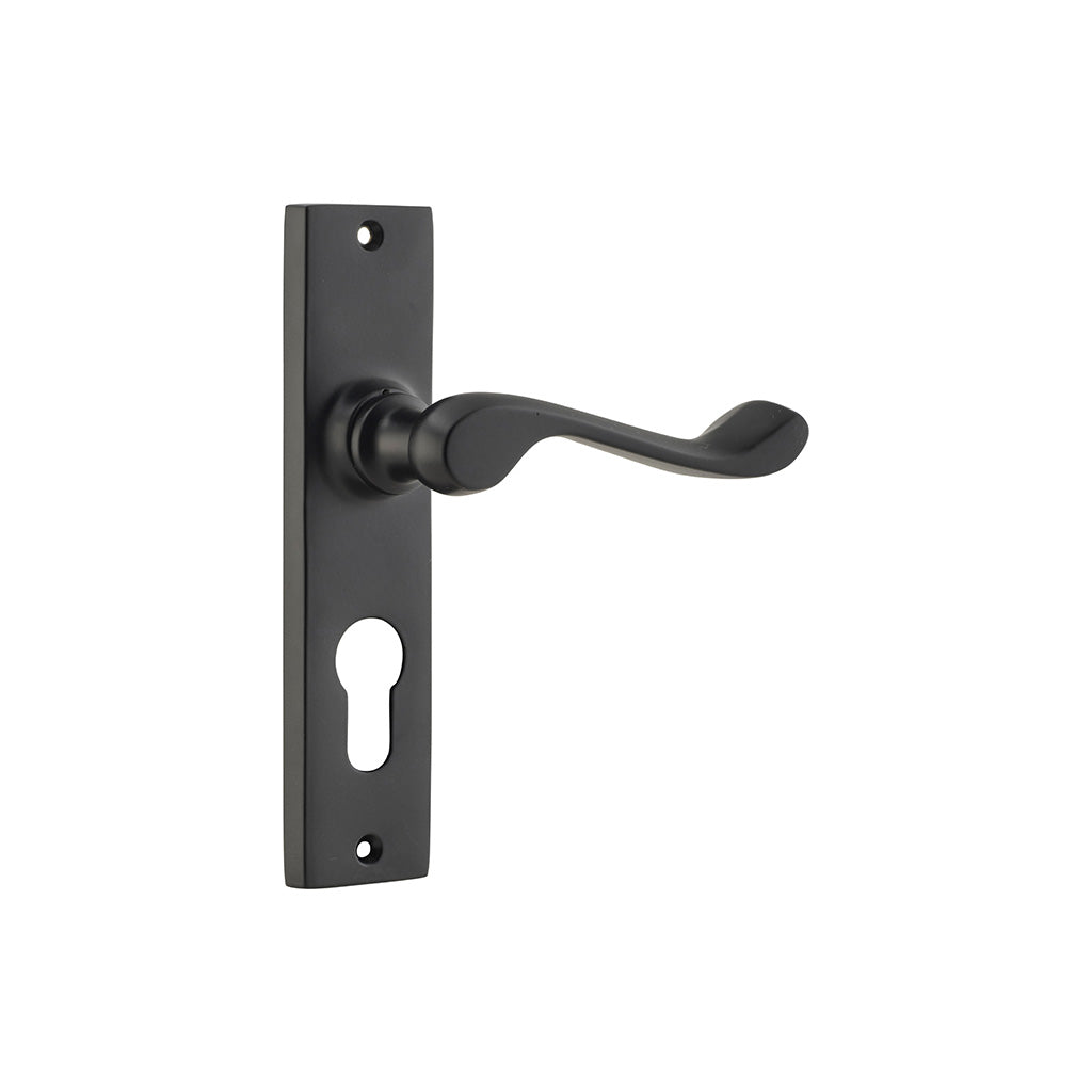 Fremantle Lever - Long Backplate Matt Black / Entrance / Lever Set Only