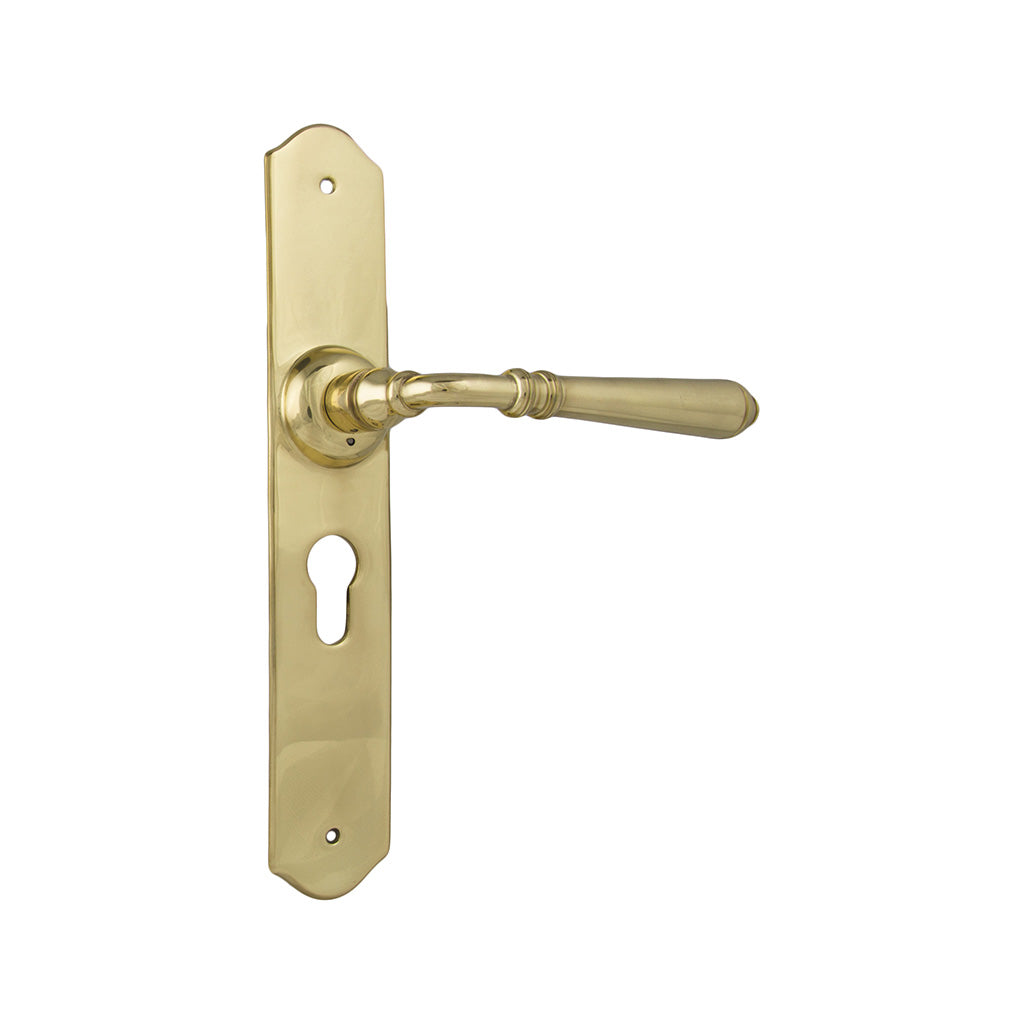 Reims Lever - Long Backplate Polished Brass / Entrance / Lever Set Only
