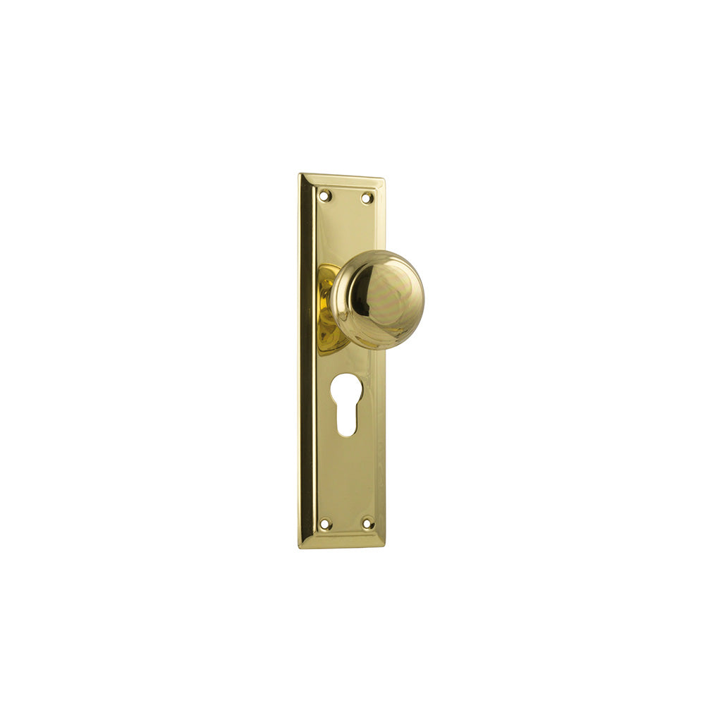 Richmond Door Knob - Long Backplate Polished Brass / Entrance / Lever Set Only