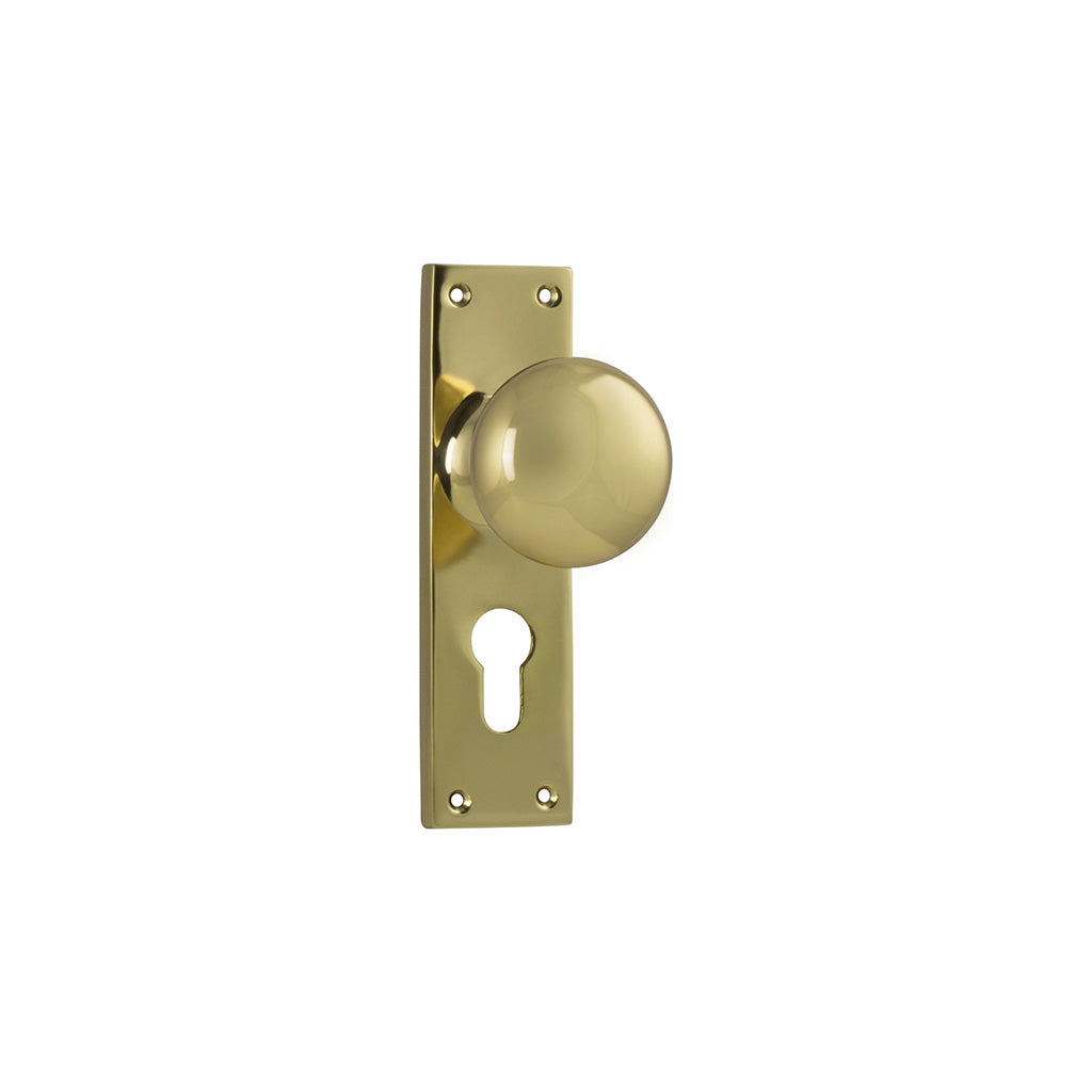 Victorian Knob - Long Backplate Polished Brass / Entrance / Lever Set Only