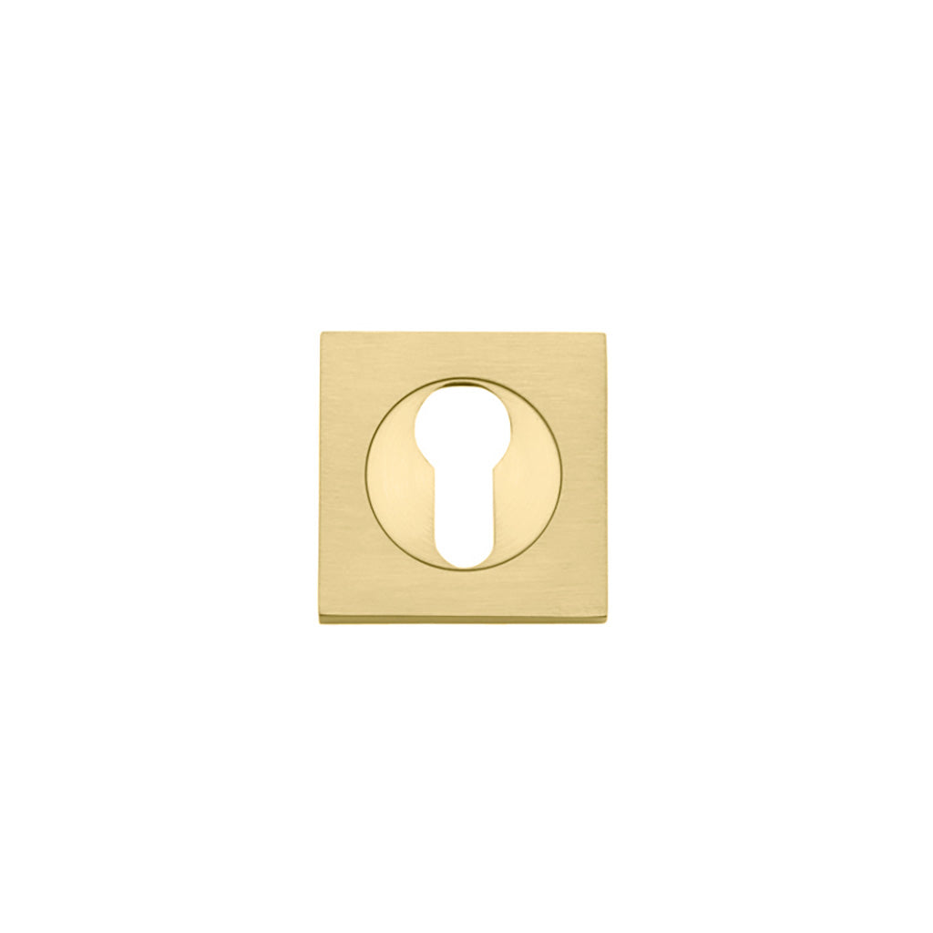 Euro Escutcheons - Square Brushed Gold PVD