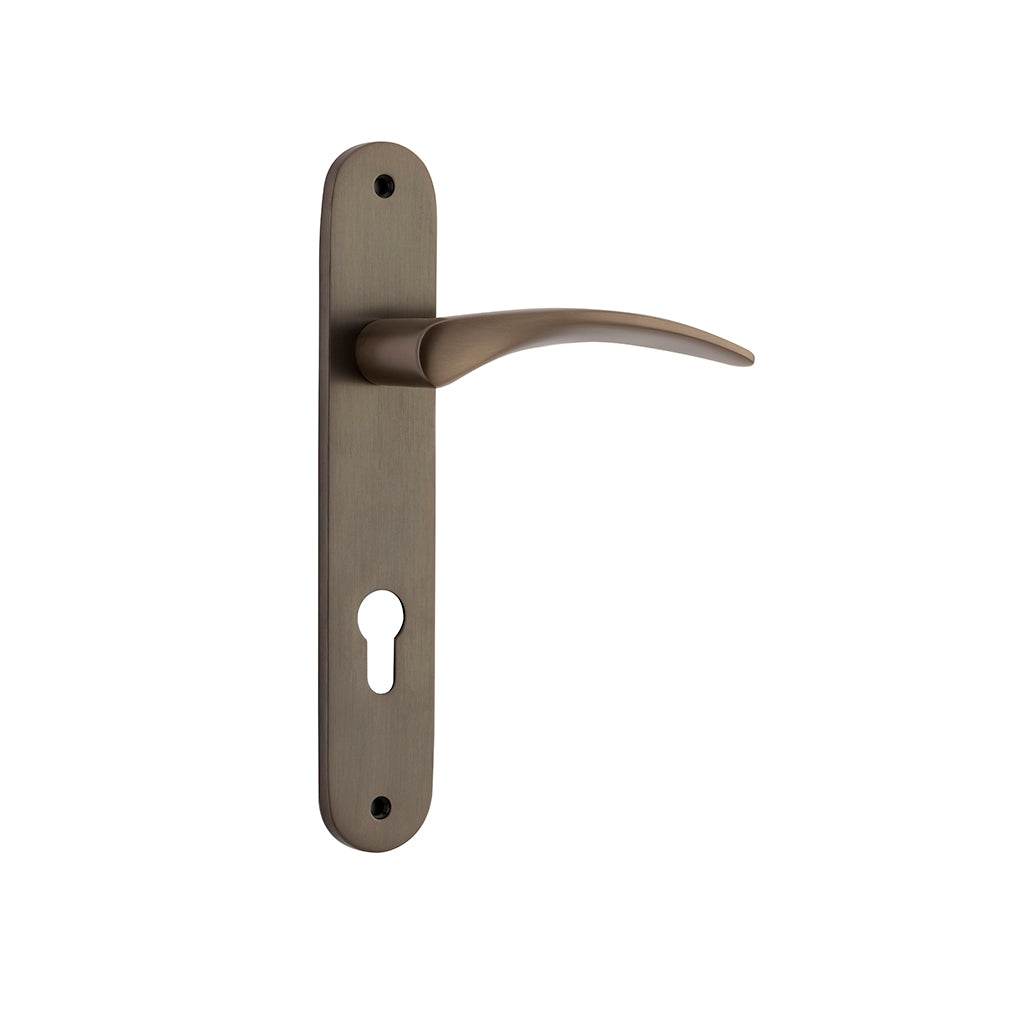 Oxford Lever - Oval Backplate Signature Brass / Entrance / Lever Set Only