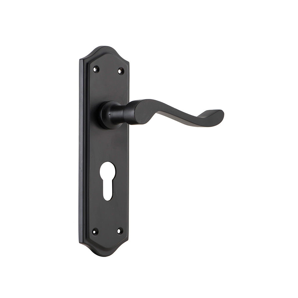 Henley Lever - Long Backplate Matt Black / Entrance / Lever Set Only