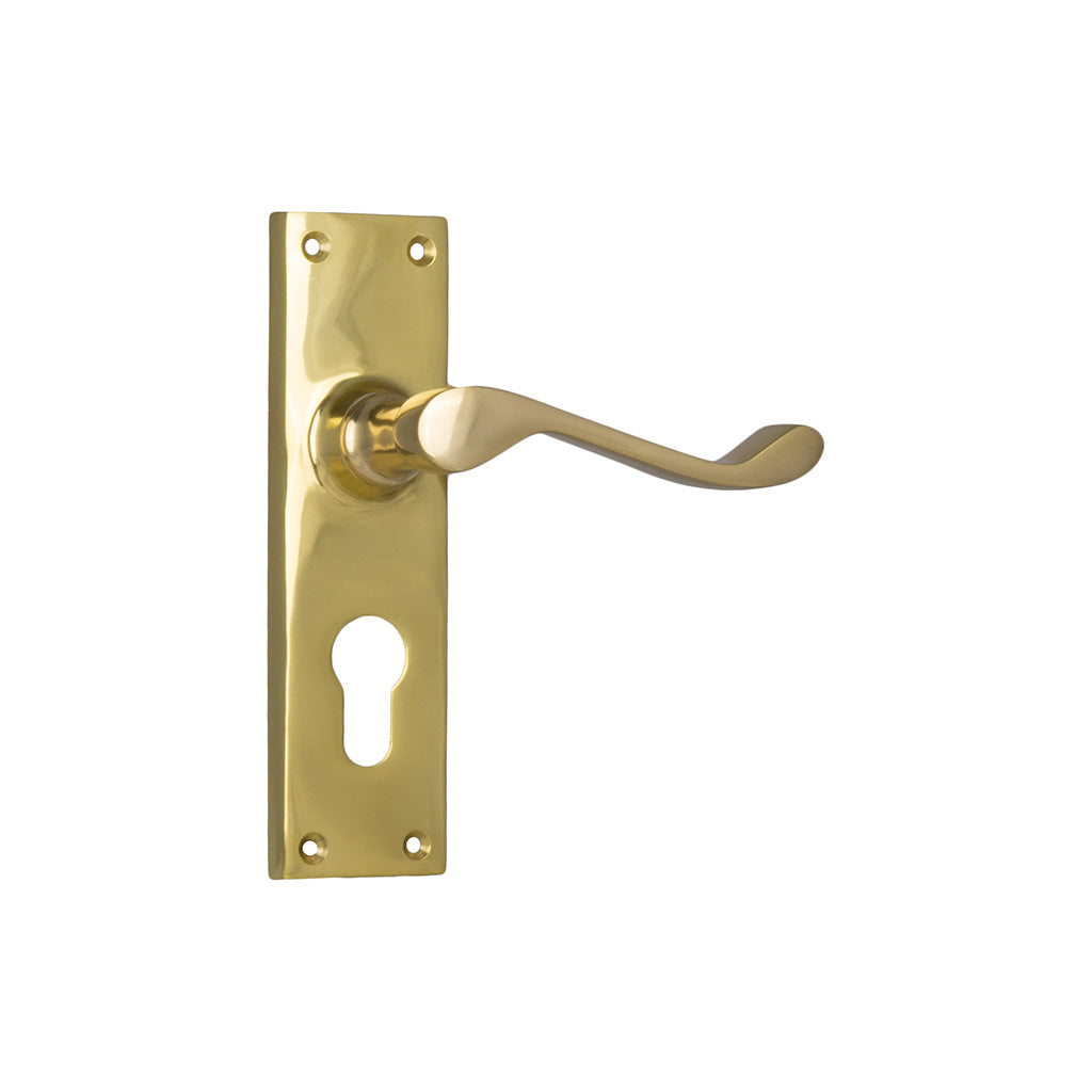Victorian Lever - Long Backplate Polished Brass / Entrance / Lever Set Only